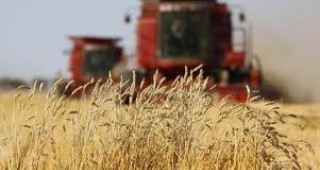 Зърнените запаси на Русия са намалели с близо 30% заради сушата през 2012 г.