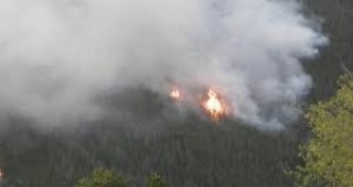 Над 130 души ще участват днес в борбата с пожара в резерват 