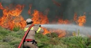 В страната през изминалото денонощие са гасени 287 пожара