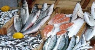 При съвместните проверки на инспектори на ИАРА и БАБХ възбранената и бракувана риба е над 140 кг