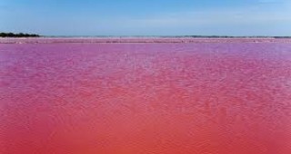Кървавочервено езеро смайва туристите във Франция