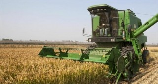 Масови проверки на производителите на зърно започна полицията