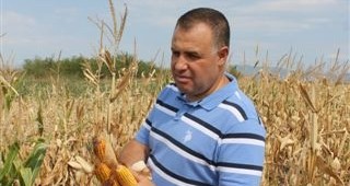 Мирослав Найденов: С 40 % по-ниска ще бъде реколтата от царевица тази година