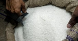 Без промяна остават цените на бялата кристална захар