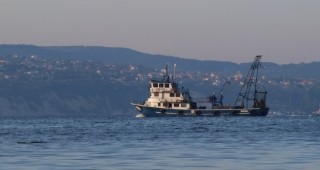 На два риболовни кораба ще бъдат отнети разрешителните за стопански риболов и улов на калкан
