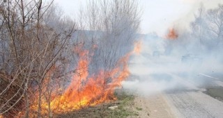 Два противопожарни автомобила участват в гасеното на пожара на изхода на Поморие