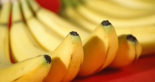Американски учени създадоха спрей, който предпазва бананите от бързо загниване
