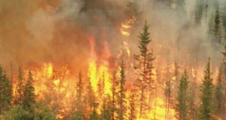 Над 150 души и хеликоптери ще гасят пожара, който вчера възникна в алпийската част на Рила