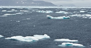 Отчетоха най-ниските нива на площта на леда в Северния ледовит океан