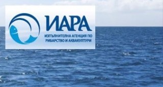 ИАРА подписа договори за над 9 милиона лева по Оперативна програма Рибарство