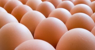 Без промяна остават цените на яйцата