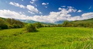 Т. Белев: Планински пасища се продават за стотинки на търга за земи от Държавния поземлен фонд