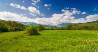 Т. Белев: Планински пасища се продават за стотинки на търга за земи от Държавния поземлен фонд