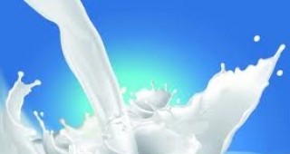 От 5 септември започва прием за продажба на млечни квоти