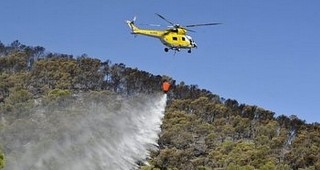 МЗХ ще оказва помощ при изготвяне на проекти на собственици на гори, пострадали от пожари