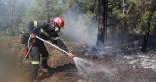 Рекорден брой пожари са регистрирани в Ловешко през почивните дни