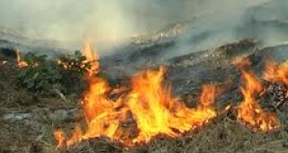 Армията се включва в борбата с огнената стихия в землището на село Раково