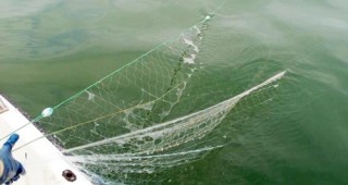 28 любители риболовци са проверени от инспектори на ИАРА Враца