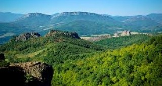 Община Белоградчик може да продава гори заради неплатени задължения