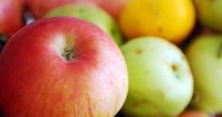 Некачествена реколта от ябълки отчитат в Кюстендилско