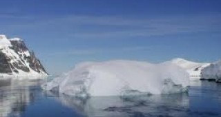 Арктическите ледове се топят опасно бързо