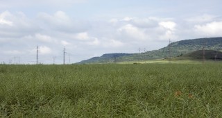 За участие в търга за земи от Държавния поземлен фонд в Кюстендилско са подадени 14 заявления