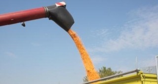 Зърнопроизводителите и търговците със зърно в Сливенско са коректни към бюджета