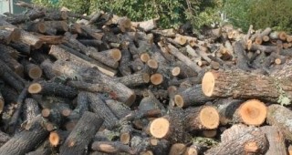 В Бургаско са задържани 64 куб. метра дърва за огрев
