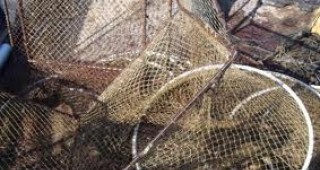 Хванаха двама нарушители, извършващи незаконен стопански риболов в акваторията на пристанище Бяла