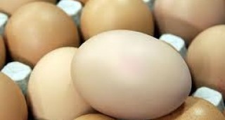 Средните цени на едро и на дребно на яйцата остават без промяна