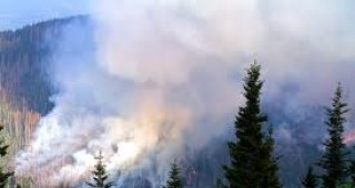 120 души ще участват в погасяването на пожара в Национален парк Витоша