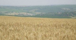 Германия и Франция подкрепят запазване на бюджета за селско стопанство на ЕС