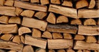 Дърва за огрев от общинските гори ще получат жителите на пет кюстендилски села