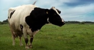 Директните субсидии за животновъдите за 2012 г. ще достигнат 140 млн. лв.