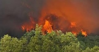 Над 1000 декара тревна растителност и храсти изгоряха при пожар в Сакар планина