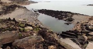 Рибарите от Кранево отчитат загуби заради свлачището в местността 