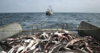 Дискутират устойчивото управление на рибните ресурси в Черно море