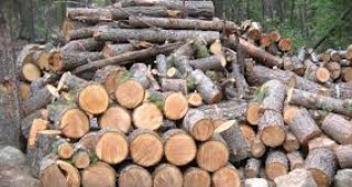 В Сливенско установиха извършител на измама с дърва
