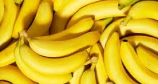 Климатичните промени може да превърнат бананите в основна храна за милиони хора