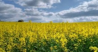 В София ще се проведат семинари по биодинамично земеделие