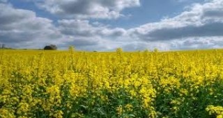 В София ще се проведат семинари по биодинамично земеделие