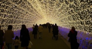 LED светлини в японска ботаническа градина