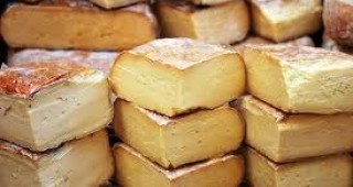 Сирене, произведено от магарешко мляко в Сърбия, е най-скъпото в света