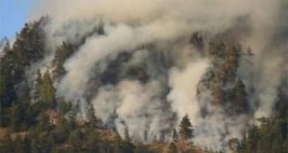 Пожар гори на връх Ком