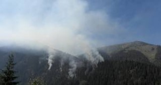 Продължава да гори пожарът под старопланинския връх Ком