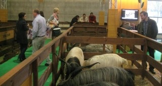 Български щанд на изложението по животновъдство EUROTIER в Хановер