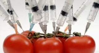Калифорния отхвърли предложението наличието на ГМО да се отбелязва на етикетите на храните