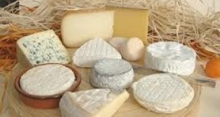 Страната ни ще подготви световен стандарт за производството на сирене и кашкавал