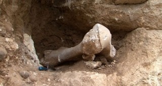 Откриха останки на мамут край Русе
