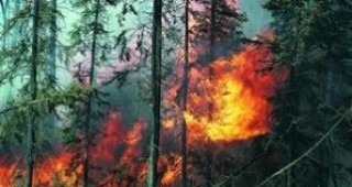 До първи април - Оперативен план срещу пожарите в Смолянско